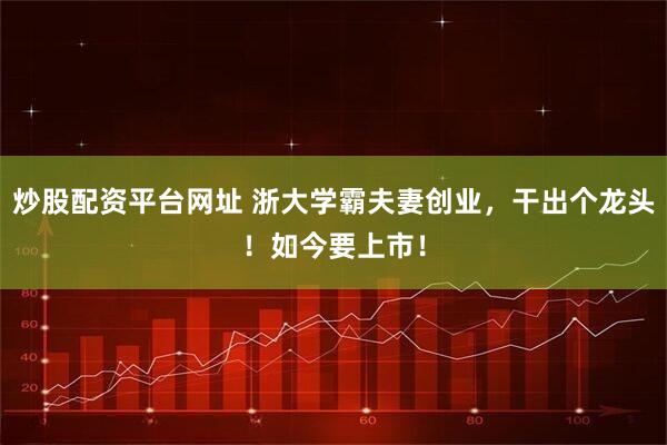 炒股配资平台网址 浙大学霸夫妻创业，干出个龙头！如今要上市！